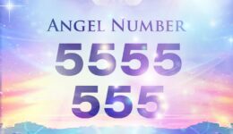 Angel Numbers 5555 and 555: Angel Numbers for Guidance, Health, and Happiness