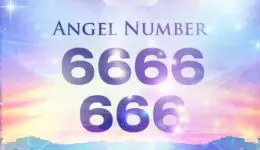 Angel Numbers 666 and 6666 – Angel Numbers for Concentration and Protection
