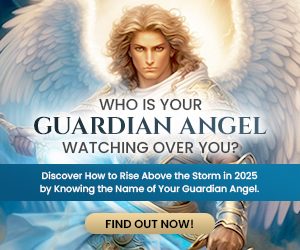 Affiliate Resource Page – Banners & Images